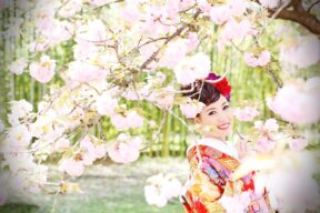 Kyoto Wedding Photography in Japanese Traditional Dress or Western Wedding