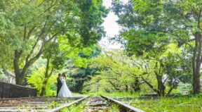 Kyoto Wedding Photos in Western Wedding Dress Bridal Outfit: Gion Photoshoot