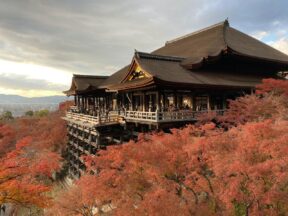 6-Day Classic Kyoto Cultural Heritage Tour