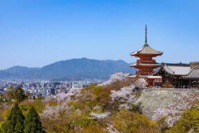 4-Day Ultimate Kyoto City Highlights Tour