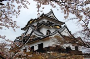 8-Day Cultural Highlights of Kyoto, Nara, and Osaka Discovery Tour