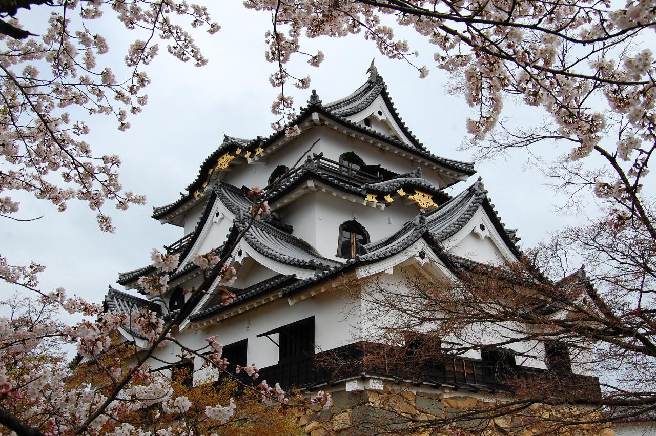 8-Day Kyoto, Nara, and Osaka Cultural Highlights Tour