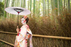 Arashiyama Kimono Rental Walking – Wear a Kimono in Arashiyama Kyoto Forest